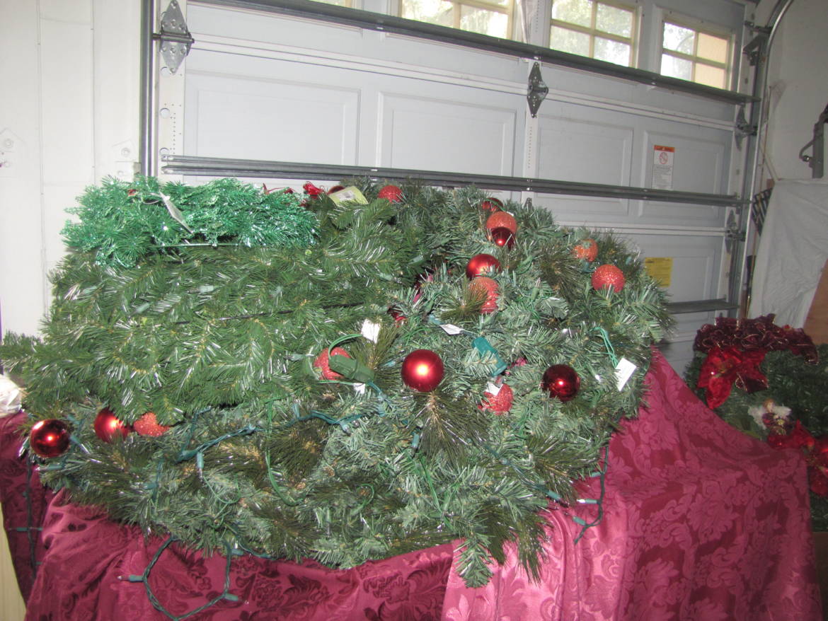 IMG_6433.jpg