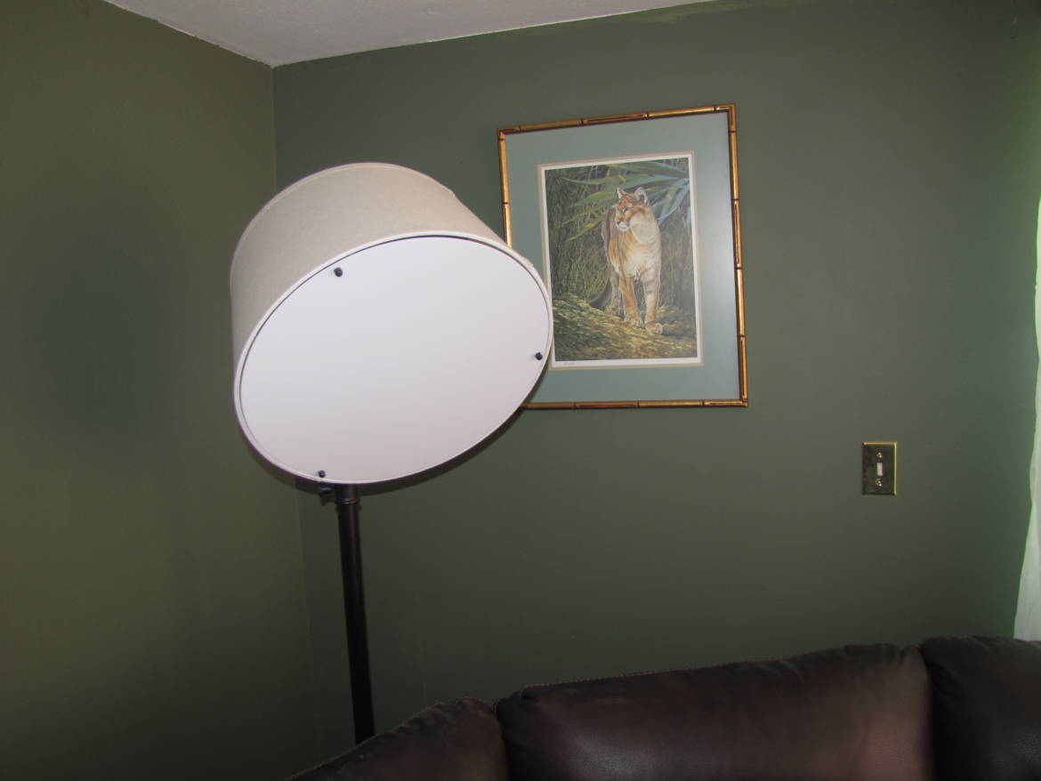 IMG_7395.jpg