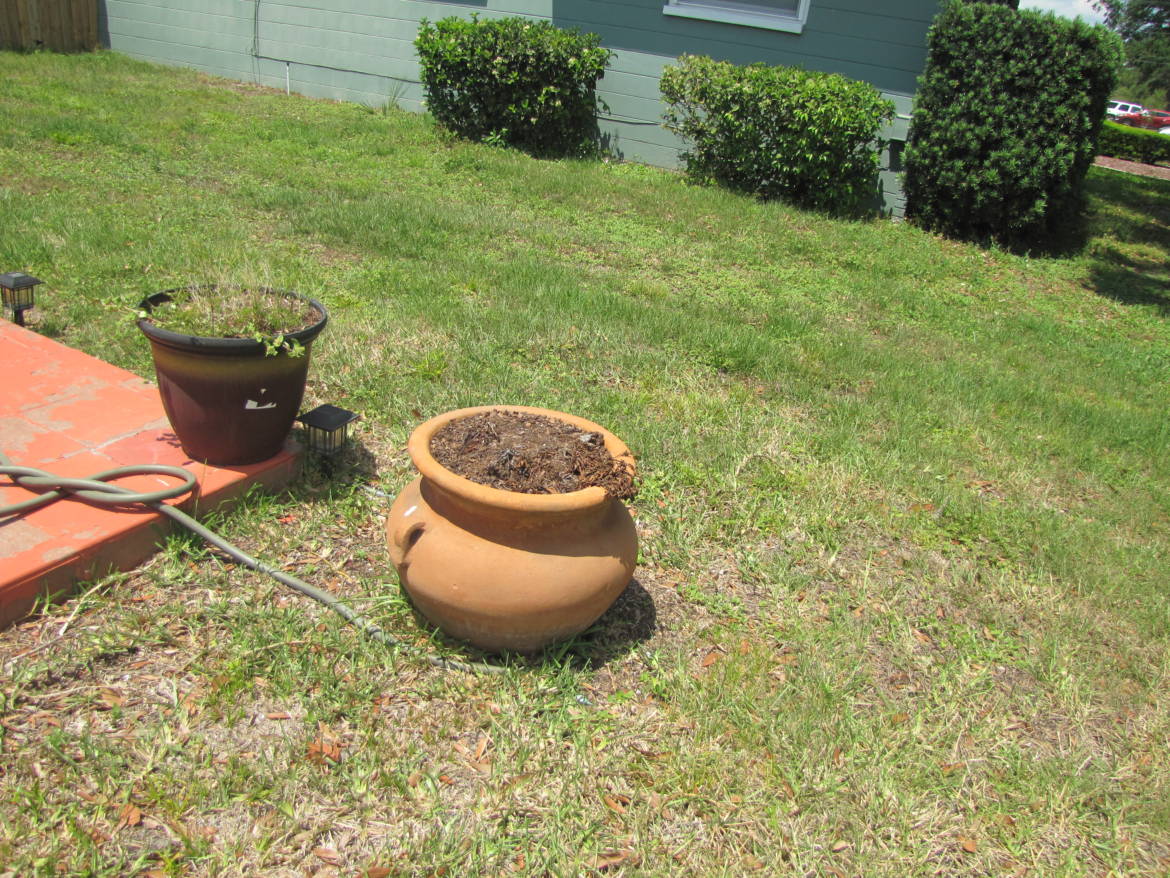 IMG_7478.jpg