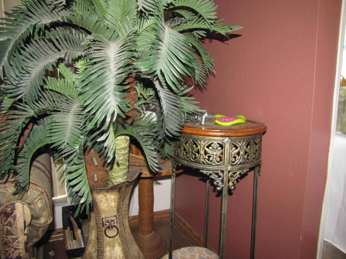 IMG_9336.jpg