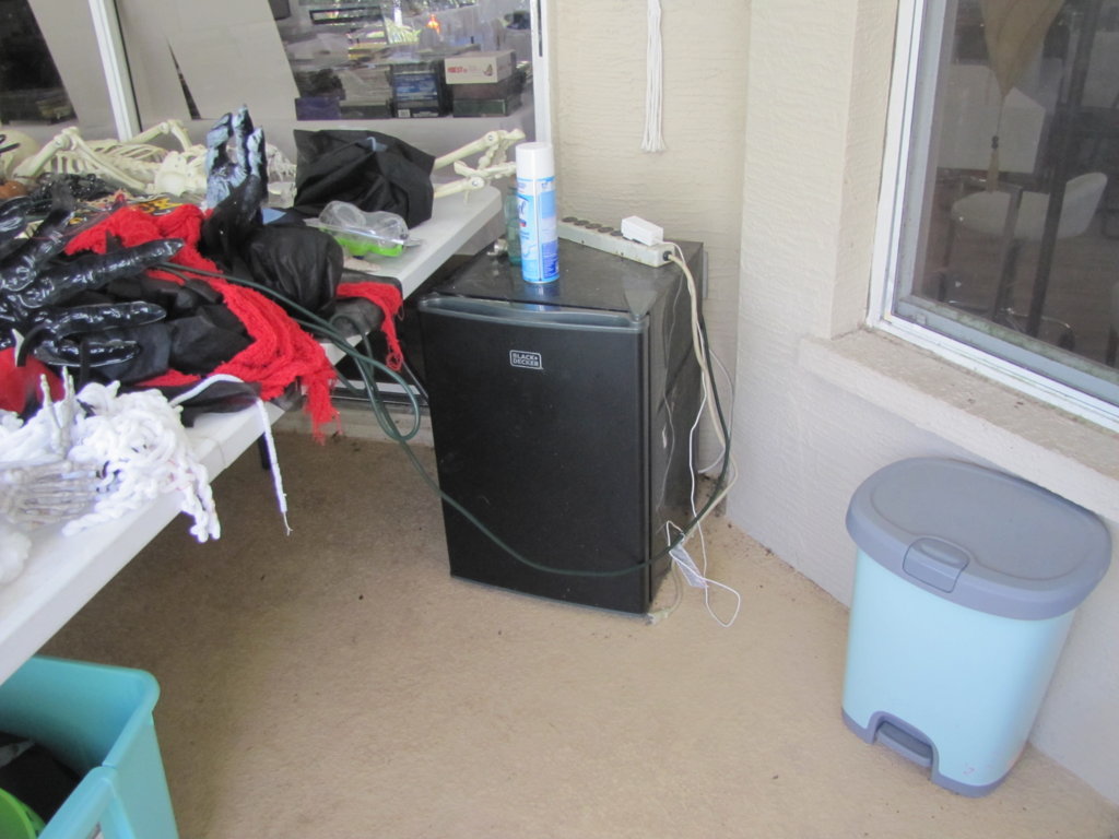 IMG_0832-FILEminimizer.jpg