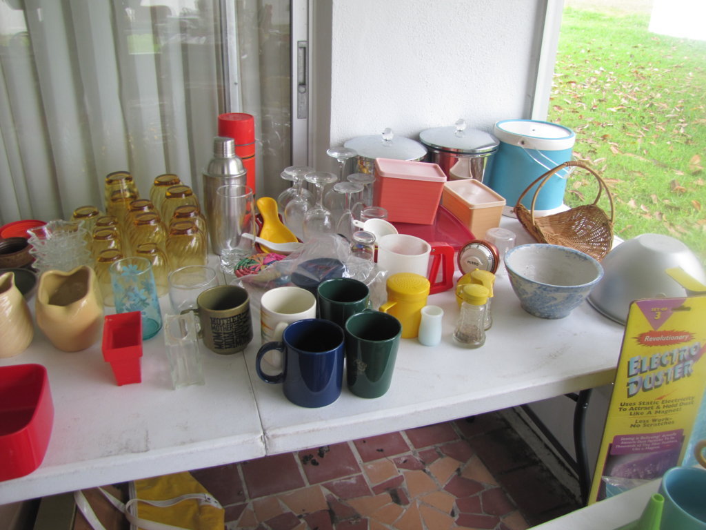 IMG_9883-FILEminimizer.jpg