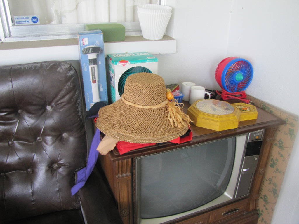 IMG_9885-FILEminimizer.jpg
