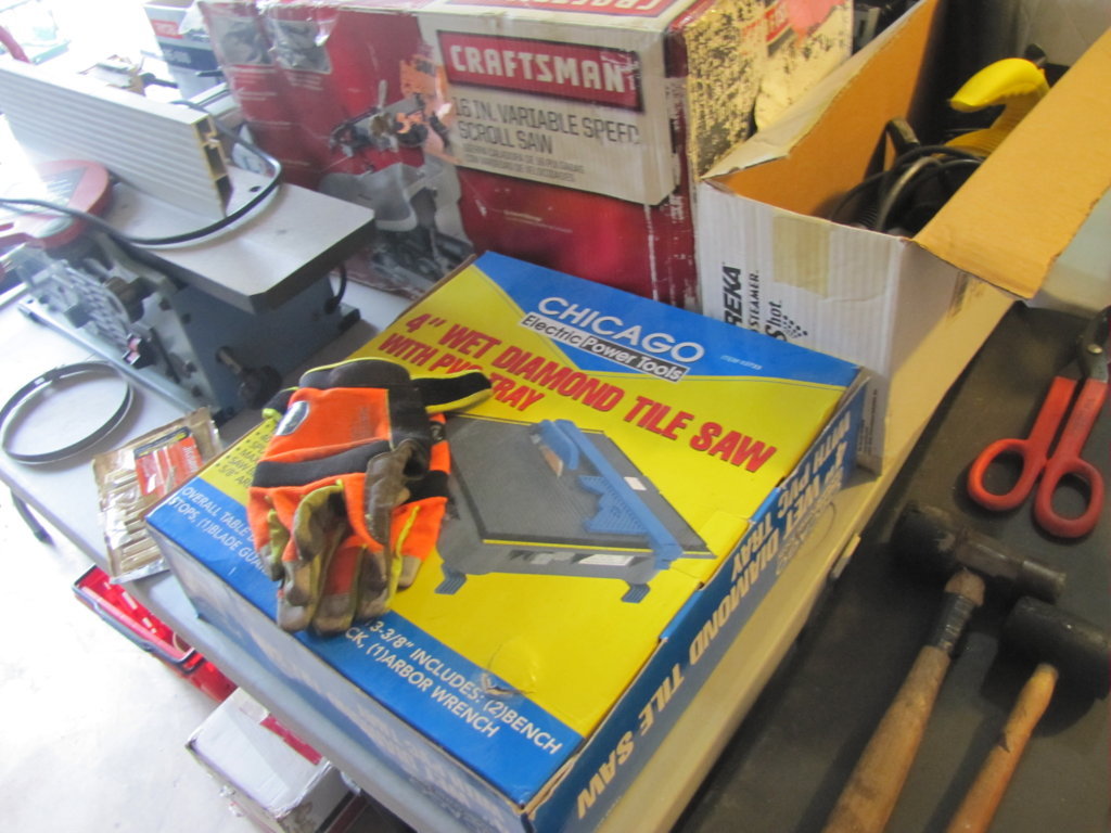 IMG_9981-FILEminimizer.jpg